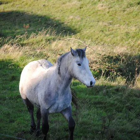 Castle Murray Boutique Dunkineely