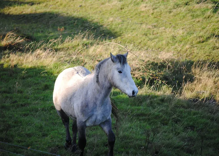 Castle Murray Boutique Dunkineely